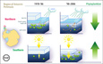 Fast climate change on the Antarctic Peninsula has affected the base of the food chain.