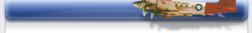 2007-2008 Project Web Sites