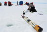 Predator and Prey: Researchers Hunt for Answers to Dynamics of Ross Sea Ecosystem