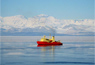 Two-month Time-lapse Video of Antarctic Ice Goes Viral