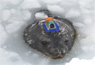 Scientists Track Seal Hunt During Winter Night