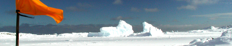 U.S. Antarctic Program - MediaInquiries Section