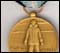 usap service medal