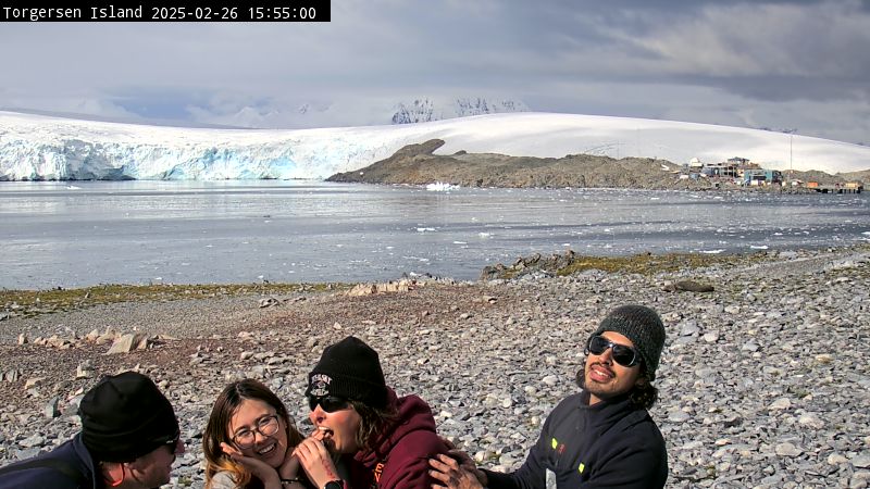 Torgersen Island Penguin Cam