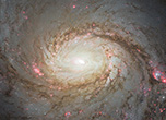 Ghost particles give scientists first look inside an active galaxy