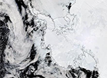 Response to Antarctic Sea Ice Community