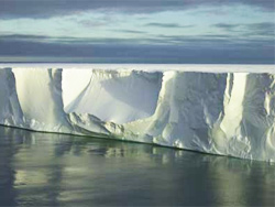 Antarctic Shoal Breaks the Ice