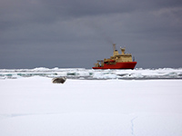 The Nathaniel B. Palmer. Photo by Amy Chiuchiolo, courtesy of the NSF/USAP Photo Library. Creative Commons CC BY-NC-ND 4.0