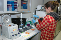 A researcher processes samples in the Palmer Station laboratory. Photo by Peter Rejcek, courtesy of the USAP Photo Library.