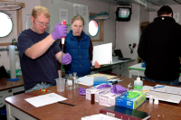 Researchers work in the laboratory aboard the research vessel Laurence M. Gould. Photo by Peter Rejcek, courtesy of the USAP Photo Library.