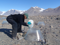 A researcher adds water to an experimental plot of land in the McMurdo Dry Valley. Photo by Byron J. Adams. Image courtesy of NSF/USAP Photo Library.
