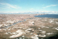 The barren landscape of Seymour Island. Photo by Mort Turner, courtesy of USAP Photo Library. 