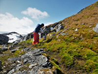 Grantee checks moss data collection site on Litchfield Island (Permit ACA 2023-007). Photo by Keri Nelson, courtesy of the USAP Photo Library.