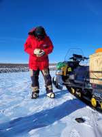 ANSMET PI Jim Karner takes notes on a meteorite find. Photo by ANSMET/John Friedrich.