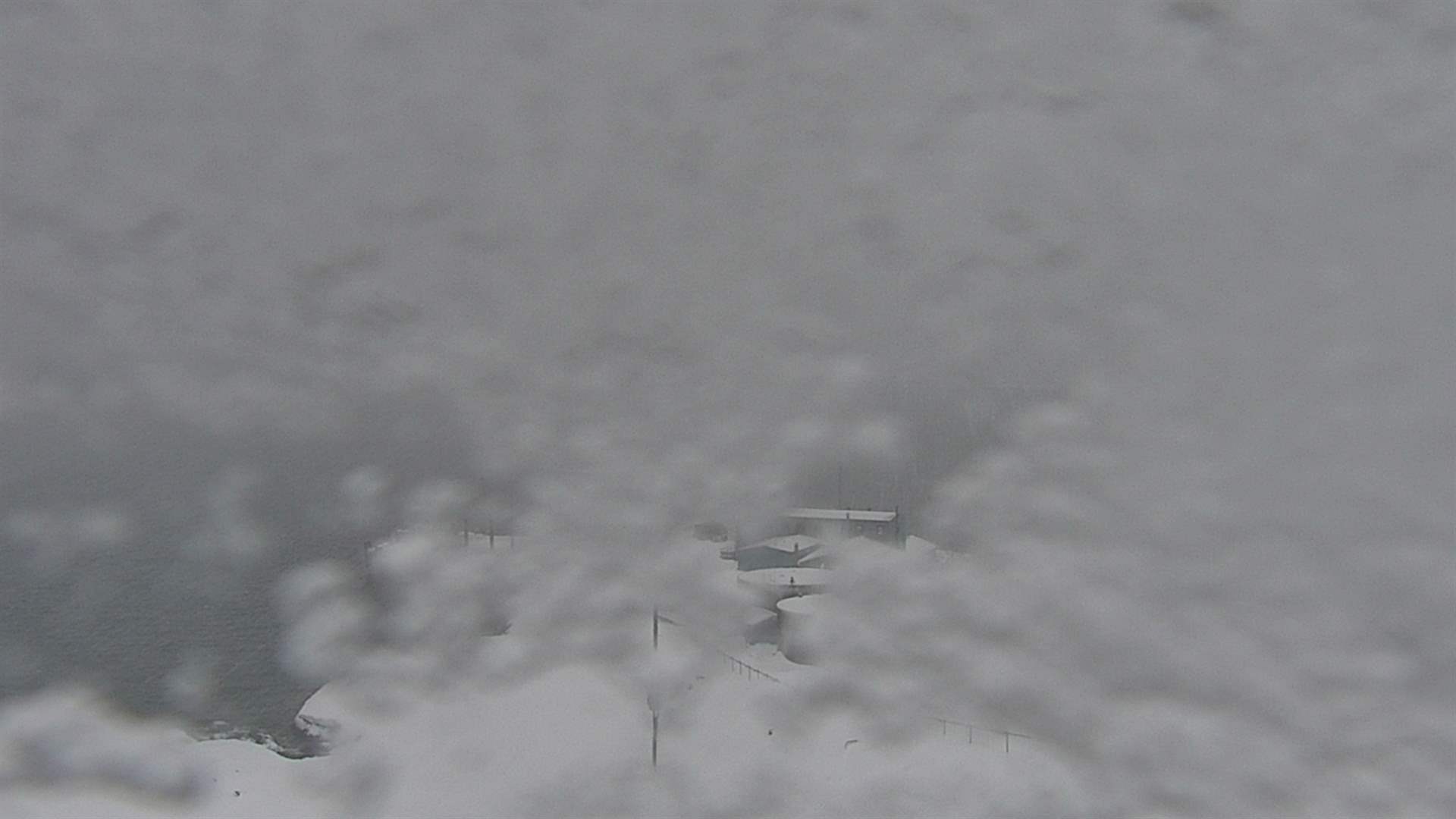 Palmer Station - Palmer Station Webcam