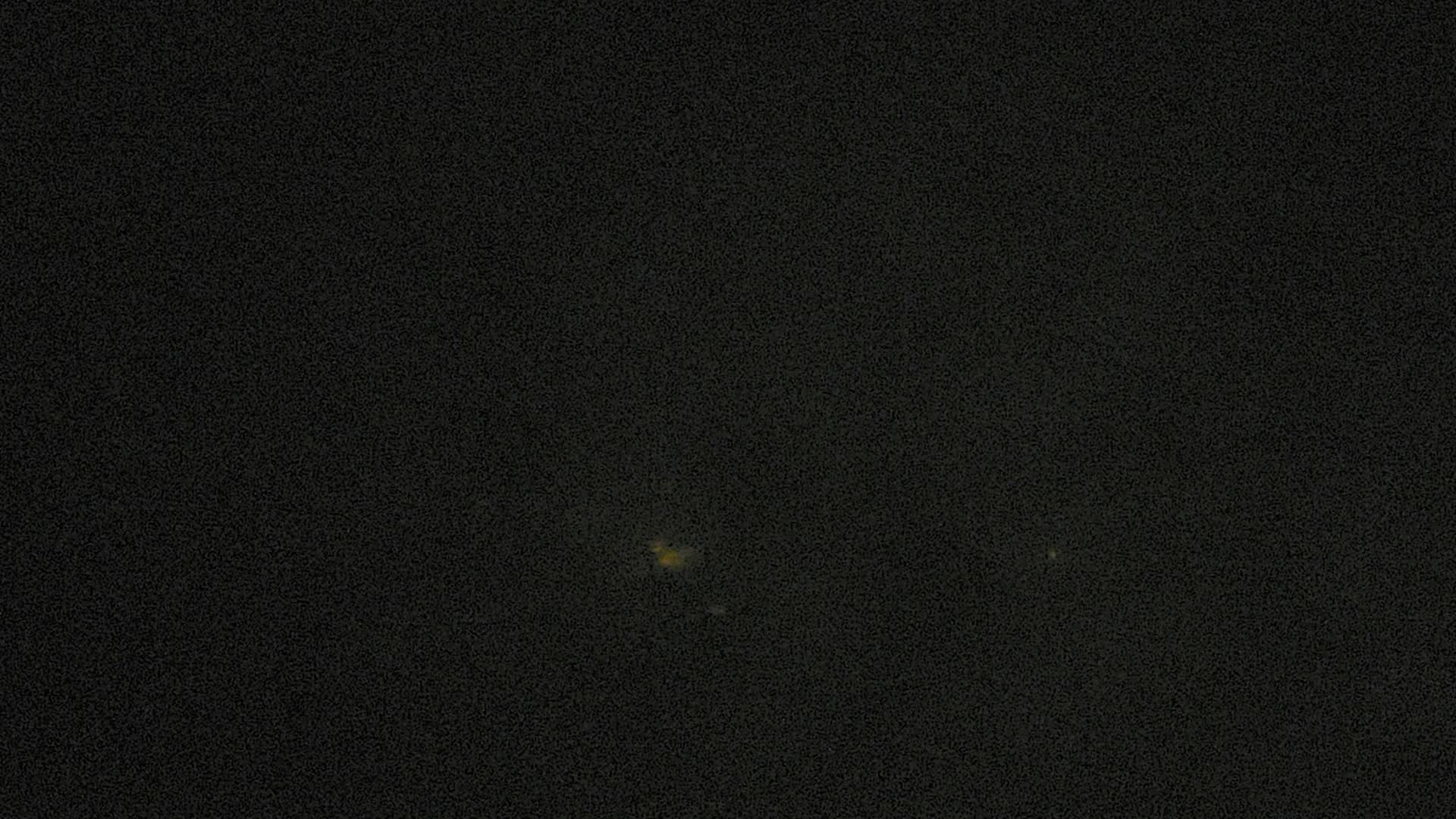 Palmer Station - Palmer Station Webcam