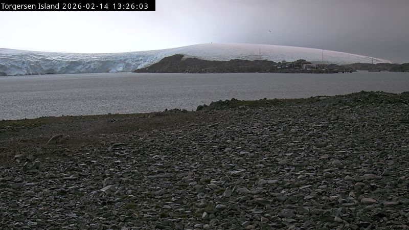 Palmer Station - Torgersen Island Penguin Colony Webcam