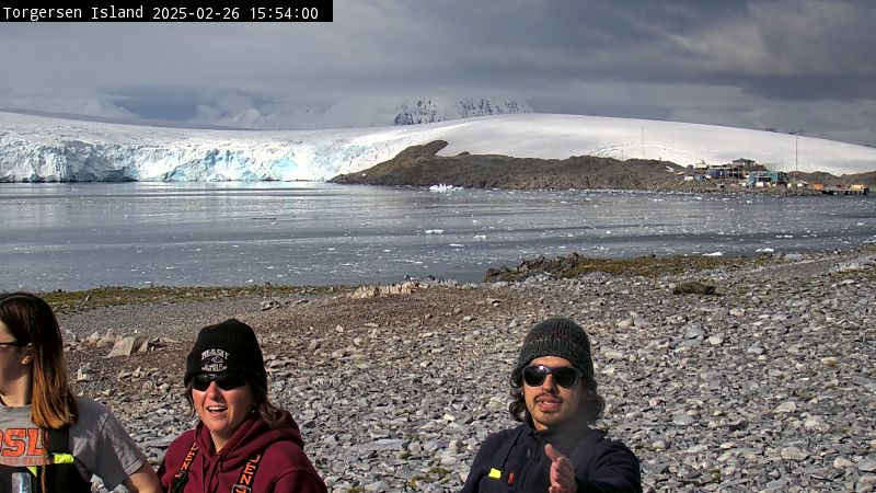 Palmer Station - Torgersen Island Penguin Colony Webcam